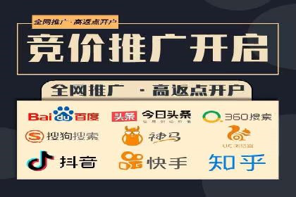 优化SEM竞价策略：成功案例剖析