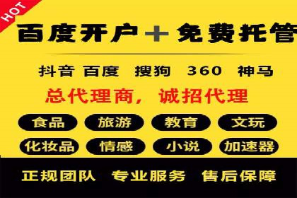 SEM服务托管：提升广告效果的成功案例解析